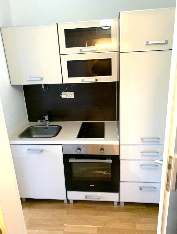 Beautiful Premium Apartment, Near University , Wifi , Free Parking Ratisbona Esterno foto